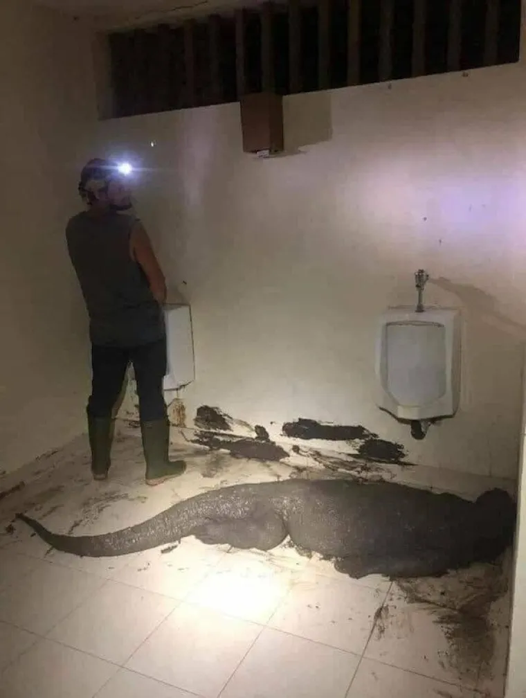 AKO DOĐETE DO KRAJA OVE &lsquo;UKLETE&rsquo; GALERIJE, ONDA VAS NI&Scaron;TA NE MOŽE UPLA&Scaron;ITI: Provjerite jeste li običan smrtnik ili imate &lsquo;čelična muda&rsquo;