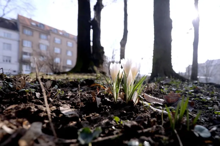 Najava skorog dolazak proljeća