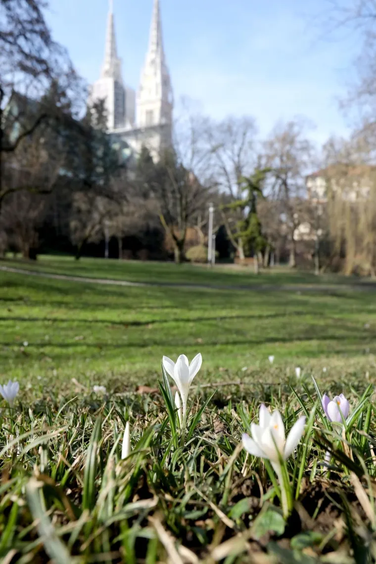 Najava skorog dolazak proljeća