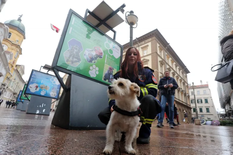 Predstavljena izložba '&Scaron;apice na zadatku'