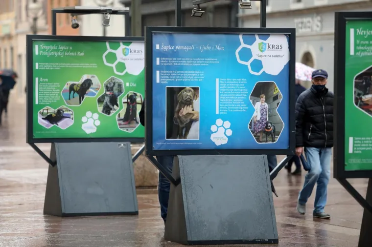 Predstavljena izložba '&Scaron;apice na zadatku'