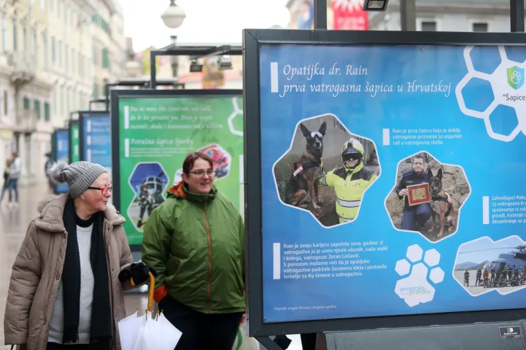 Predstavljena izložba '&Scaron;apice na zadatku'