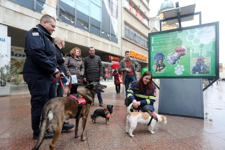 Predstavljena izložba '&Scaron;apice na zadatku'