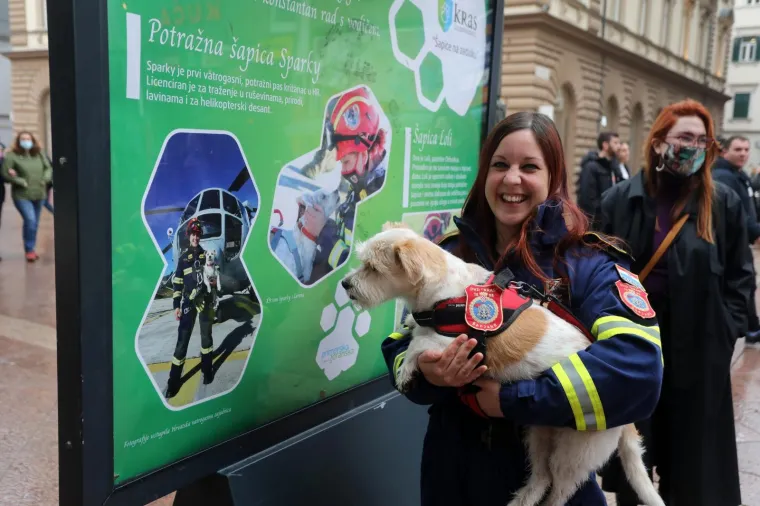 Predstavljena izložba '&Scaron;apice na zadatku'