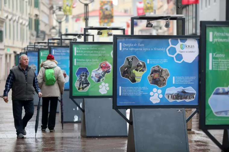 Predstavljena izložba '&Scaron;apice na zadatku'