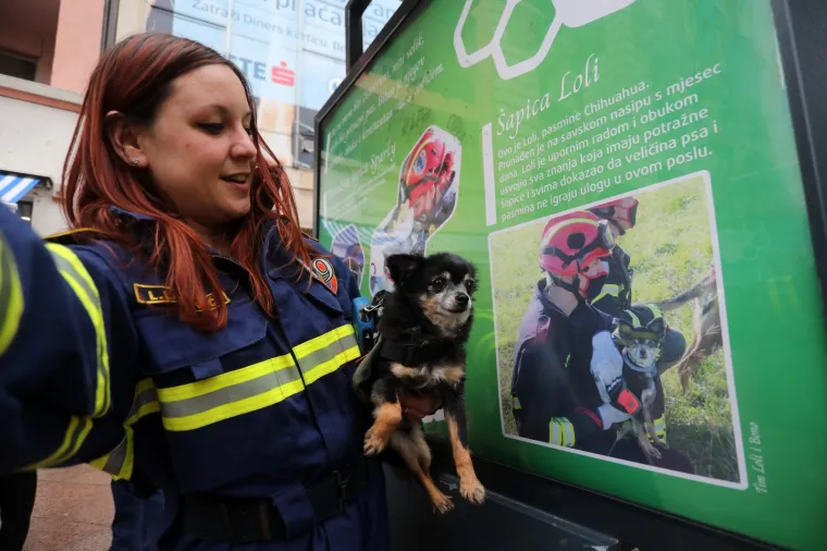 Predstavljena izložba '&Scaron;apice na zadatku'