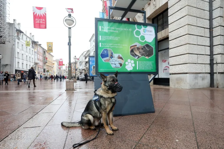 Predstavljena izložba '&Scaron;apice na zadatku'