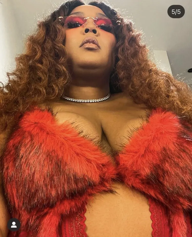 Lizzo je poznata kao strastvena aktivistica. Kroz svoje pjesme zalaže se za promicanje pozitivne slike o sebi, a podržava i LGBTQ+ zajednicu.