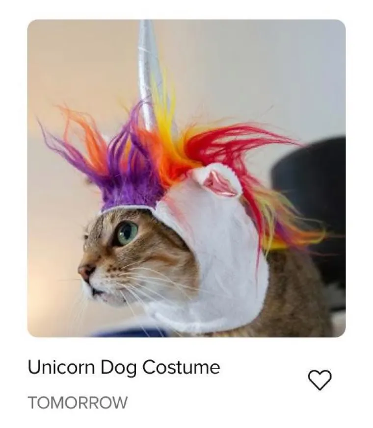 USPJELI SU ZARIBATI JEDINI ZADATAK KOJI SU DOBILI: Kad vidite ova čudesa, odmah će vam biti lak&scaron;e zbog one gluposti koju ste napravili