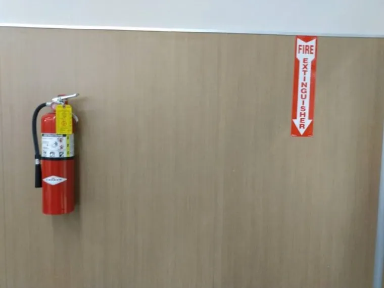 USPJELI SU ZARIBATI JEDINI ZADATAK KOJI SU DOBILI: Kad vidite ova čudesa, odmah će vam biti lak&scaron;e zbog one gluposti koju ste napravili