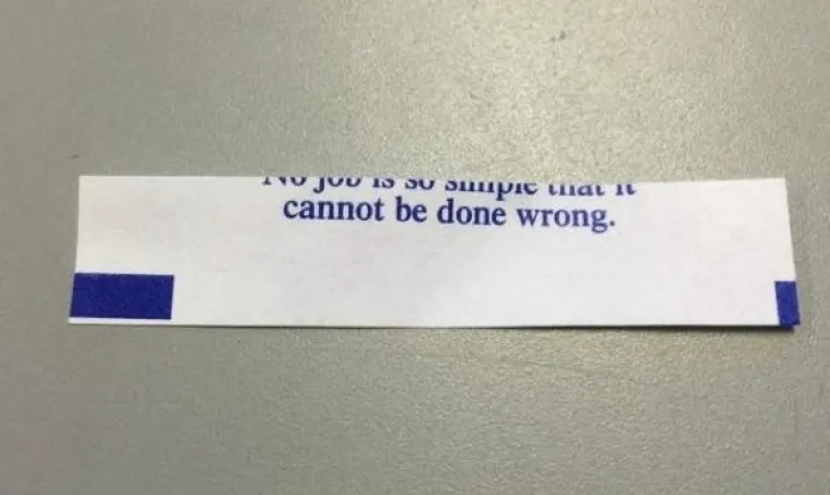 USPJELI SU ZARIBATI JEDINI ZADATAK KOJI SU DOBILI: Kad vidite ova čudesa, odmah će vam biti lak&scaron;e zbog one gluposti koju ste napravili