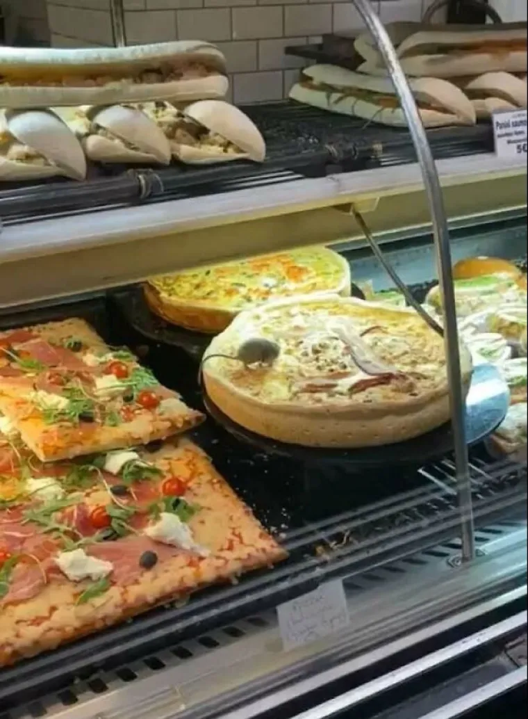 RESTORAN ILI SVINJAC, PITANJE JE SAD: Gosti snimili prizore u ugostiteljskim objektima od kojih se diže želudac