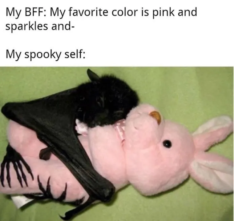 PO&Scaron;ALJITE OVO NAJBOLJOJ FRENDICI, NEĆETE POŽALITI: Ovo su memovi koji slave njihovo strpljenje i kapacitet za slu&scaron;anje jadikovki