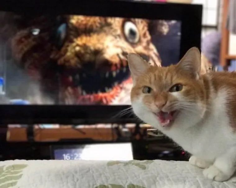 Samo zamislite koliko se toga moralo poklopiti za ova remek-djela