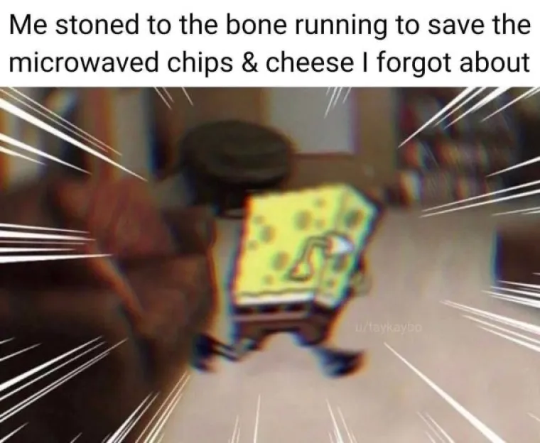 KAO, NITKO NE KUŽI: Ljudi poku&scaron;ali dočarati kako je to kad si napu&scaron;en, a pravi&scaron; se da si sasvim okej u glavi