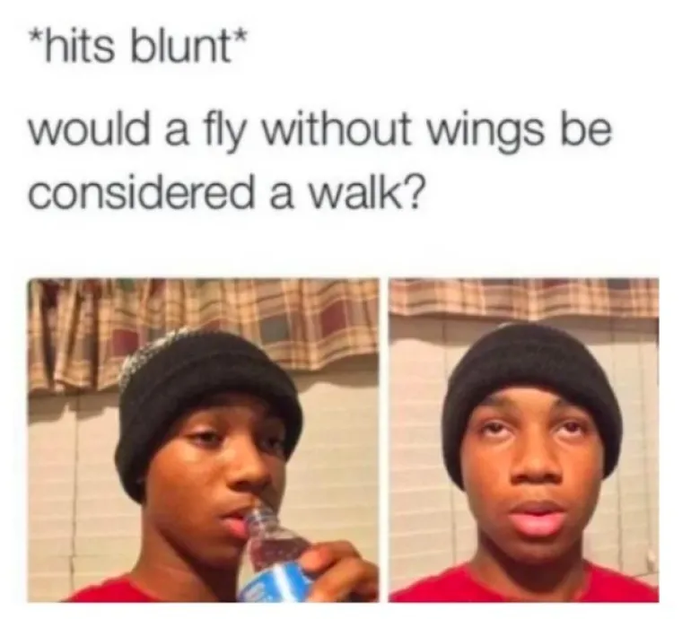 KAO, NITKO NE KUŽI: Ljudi poku&scaron;ali dočarati kako je to kad si napu&scaron;en, a pravi&scaron; se da si sasvim okej u glavi