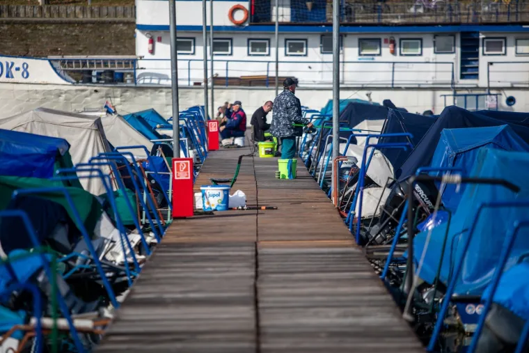 OSJEČKI RIBIČI U AKCIJI: Dok prolaznici &scaron;etaju promenadom u centru grada, oni uživaju loveći ribu