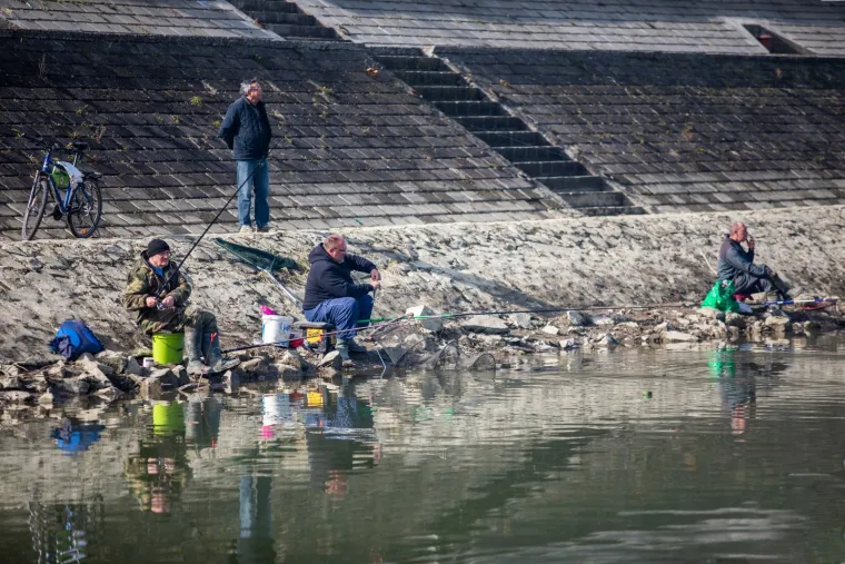 OSJEČKI RIBIČI U AKCIJI: Dok prolaznici &scaron;etaju promenadom u centru grada, oni uživaju loveći ribu