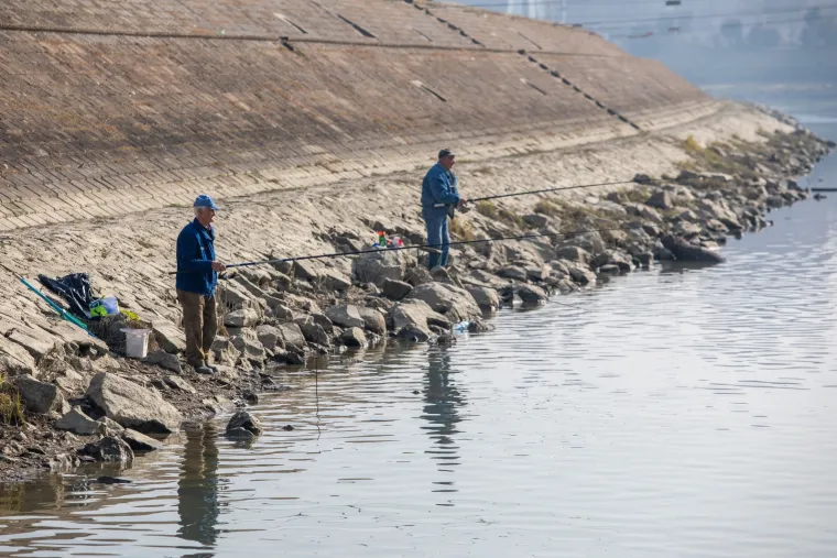 OSJEČKI RIBIČI U AKCIJI: Dok prolaznici &scaron;etaju promenadom u centru grada, oni uživaju loveći ribu