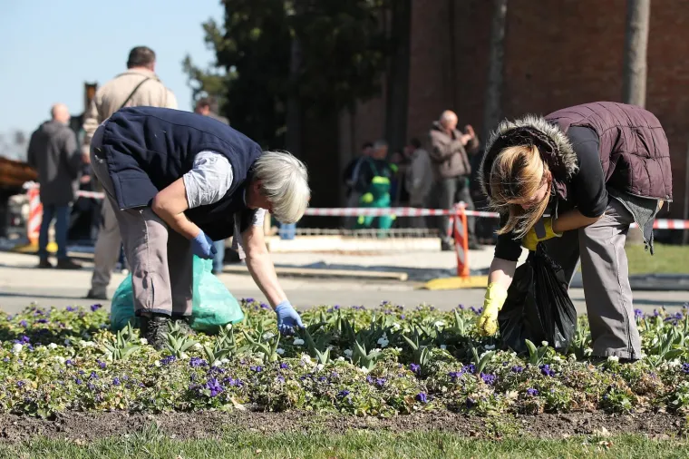 Uređuje se groblje: Pogledajte kako se na Mirogoju pripremaju za pogreb Milana Bandića