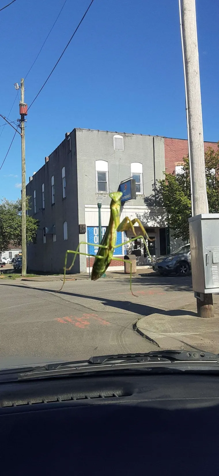 KOJI VRAG SE OVDJE DOGAĐA? Ove fotke morat ćete dobro pogledati i to dvaput. Ok, možda triput