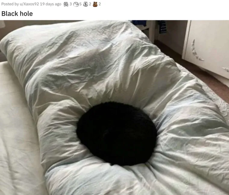 KOJI VRAG SE OVDJE DOGAĐA? Ove fotke morat ćete dobro pogledati i to dvaput. Ok, možda triput