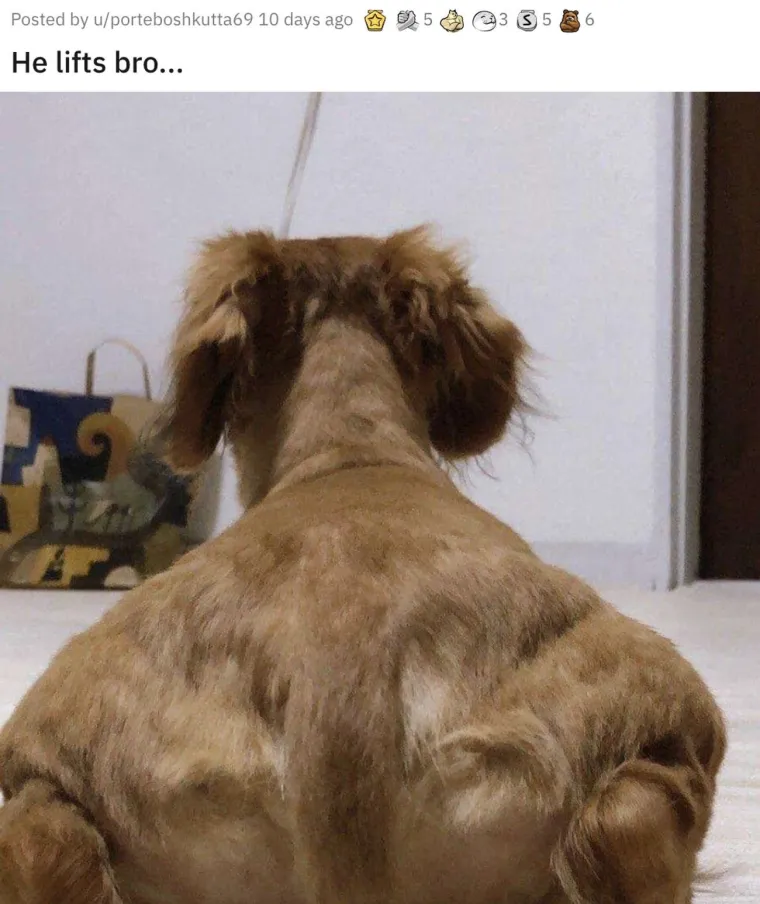 KOJI VRAG SE OVDJE DOGAĐA? Ove fotke morat ćete dobro pogledati i to dvaput. Ok, možda triput