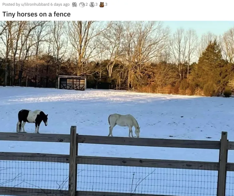 KOJI VRAG SE OVDJE DOGAĐA? Ove fotke morat ćete dobro pogledati i to dvaput. Ok, možda triput