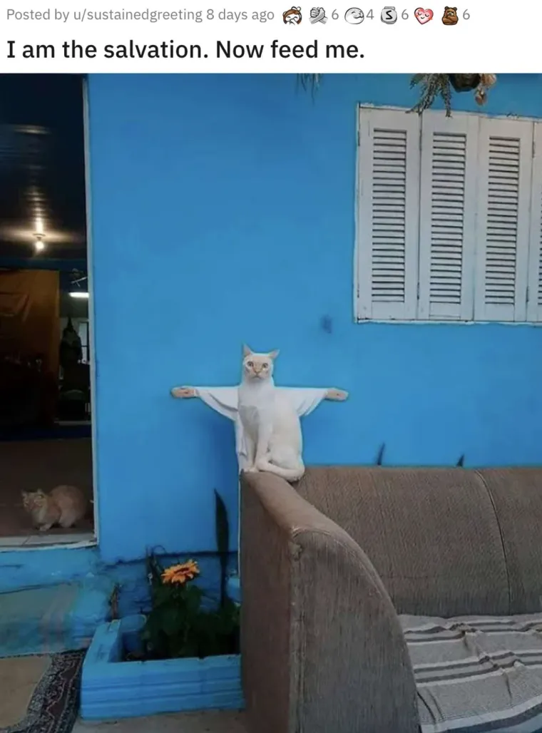 KOJI VRAG SE OVDJE DOGAĐA? Ove fotke morat ćete dobro pogledati i to dvaput. Ok, možda triput