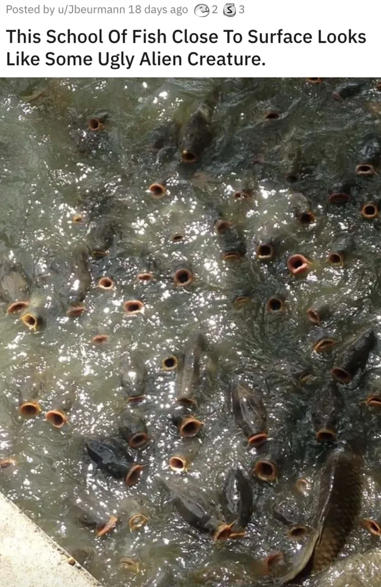 KOJI VRAG SE OVDJE DOGAĐA? Ove fotke morat ćete dobro pogledati i to dvaput. Ok, možda triput