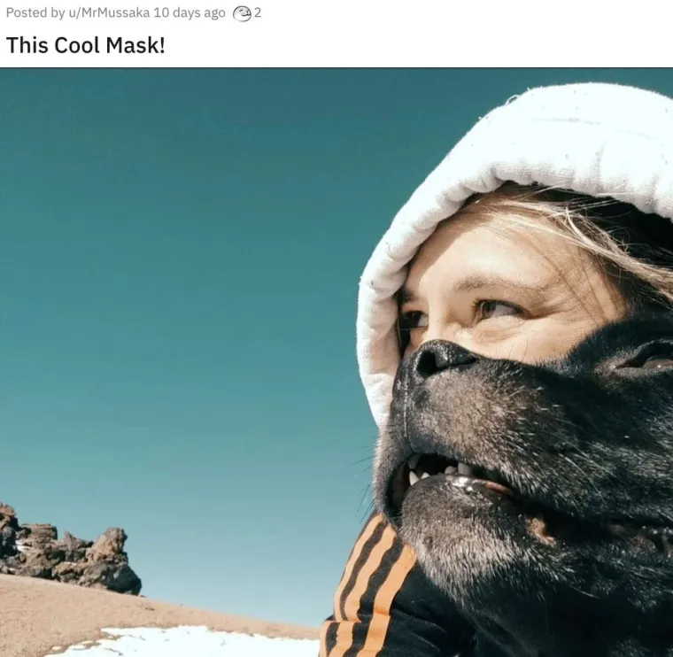 KOJI VRAG SE OVDJE DOGAĐA? Ove fotke morat ćete dobro pogledati i to dvaput. Ok, možda triput