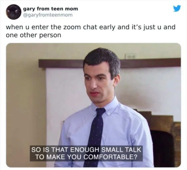 NAJEŽITE SE KAD ČUJETE FRAZU 'ZOOM SASTANAK': Ljudima se sve teže nositi sa svime, evo urnebesnih dokaza