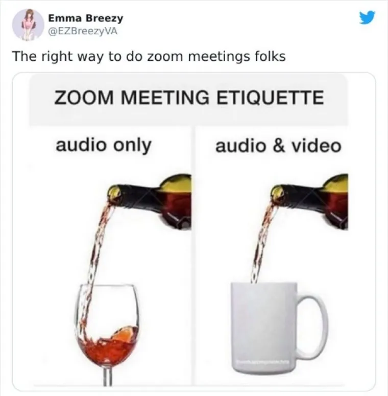 NAJEŽITE SE KAD ČUJETE FRAZU 'ZOOM SASTANAK': Ljudima se sve teže nositi sa svime, evo urnebesnih dokaza