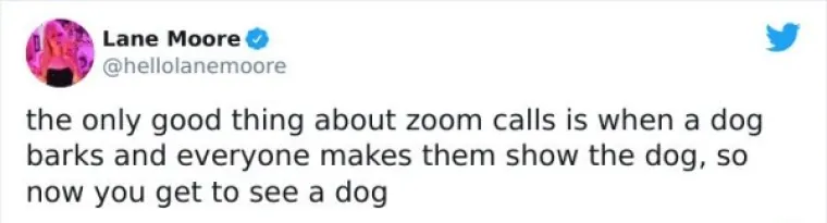 NAJEŽITE SE KAD ČUJETE FRAZU 'ZOOM SASTANAK': Ljudima se sve teže nositi sa svime, evo urnebesnih dokaza