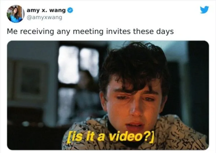 NAJEŽITE SE KAD ČUJETE FRAZU 'ZOOM SASTANAK': Ljudima se sve teže nositi sa svime, evo urnebesnih dokaza