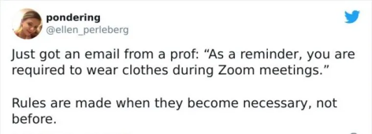 NAJEŽITE SE KAD ČUJETE FRAZU 'ZOOM SASTANAK': Ljudima se sve teže nositi sa svime, evo urnebesnih dokaza