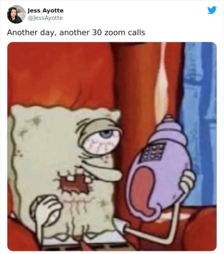 NAJEŽITE SE KAD ČUJETE FRAZU 'ZOOM SASTANAK': Ljudima se sve teže nositi sa svime, evo urnebesnih dokaza