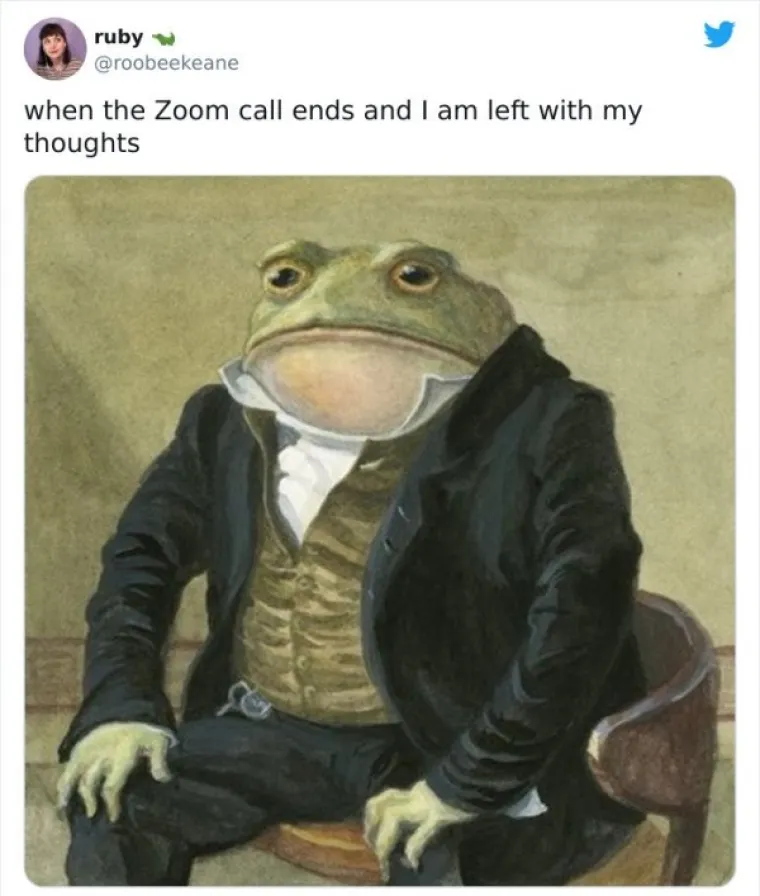 NAJEŽITE SE KAD ČUJETE FRAZU 'ZOOM SASTANAK': Ljudima se sve teže nositi sa svime, evo urnebesnih dokaza