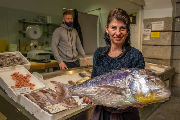 KAKAV KAPITALAC ULOVLJEN U OKOLICI PULE! Za ovog zubaca od 6 i pol kilograma trebat ćete izdvojiti oko 900 kuna