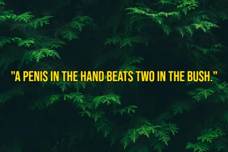 UNAKAZILI SLAVNE IZREKE, ALI SE ISPLATILO: Kad samo jednu riječ zamijenite s 'penis', nastaju ovakva remek-djela