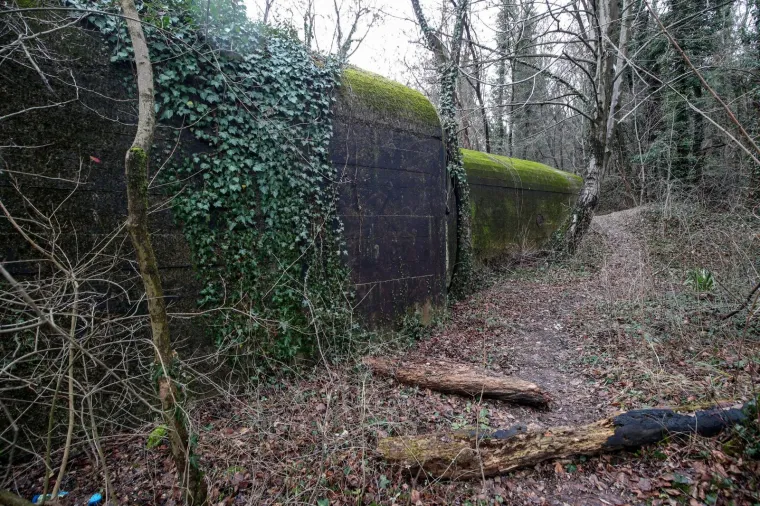 Njemački bunker iz Drugog svjetskog rata sakriven je u &scaron;umi na Črnomercu