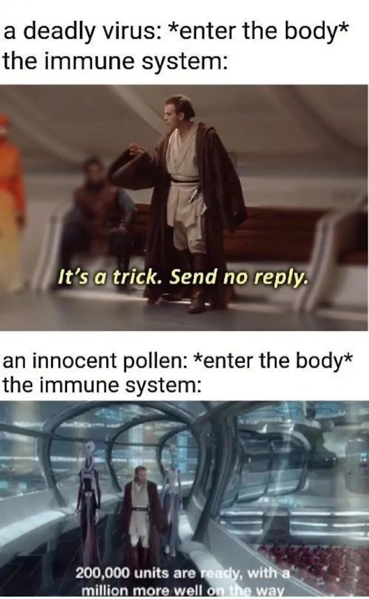 SAMO NEKI ĆE ZNATI O ČEMU GOVORIMO; Počinje sezona peluda poznato i kao: 'Kako da druge uvjerim da nemam koronu'