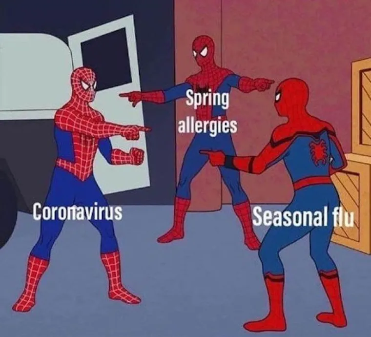 SAMO NEKI ĆE ZNATI O ČEMU GOVORIMO; Počinje sezona peluda poznato i kao: 'Kako da druge uvjerim da nemam koronu'