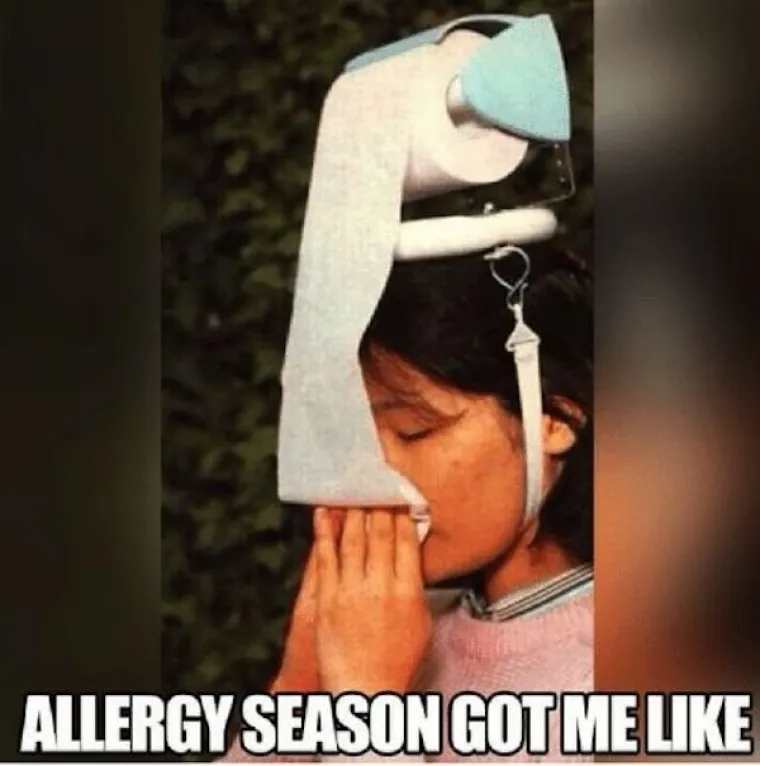 SAMO NEKI ĆE ZNATI O ČEMU GOVORIMO; Počinje sezona peluda poznato i kao: 'Kako da druge uvjerim da nemam koronu'