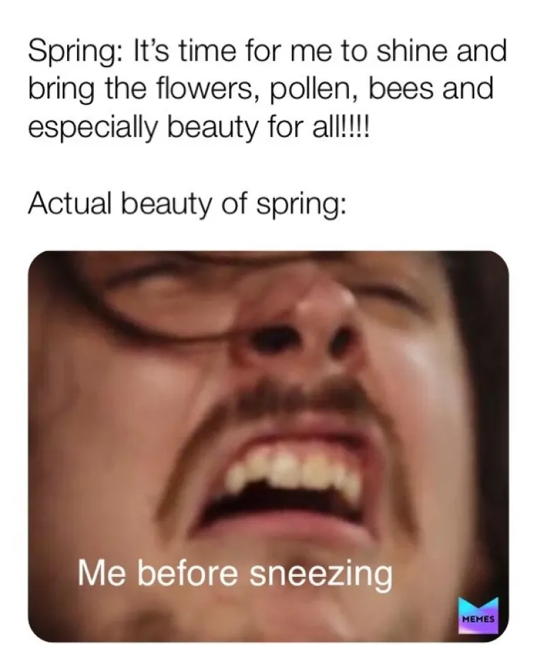 SAMO NEKI ĆE ZNATI O ČEMU GOVORIMO; Počinje sezona peluda poznato i kao: 'Kako da druge uvjerim da nemam koronu'