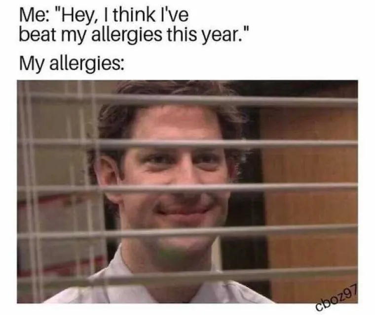 SAMO NEKI ĆE ZNATI O ČEMU GOVORIMO; Počinje sezona peluda poznato i kao: 'Kako da druge uvjerim da nemam koronu'