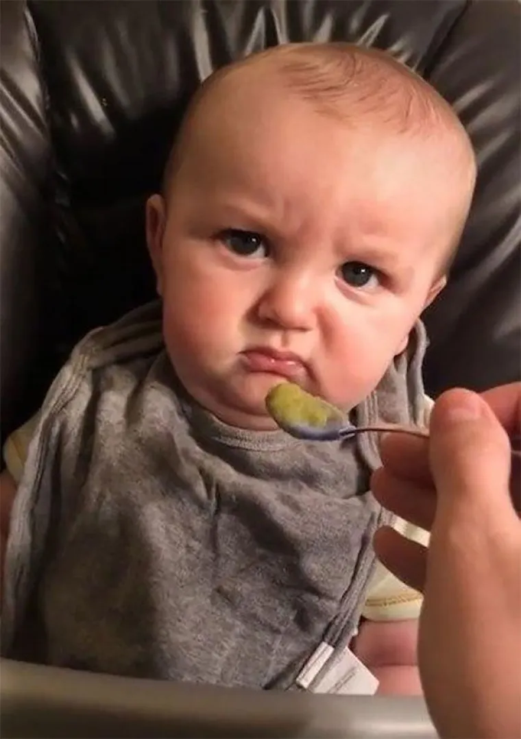 OVE BEBE IZGLEDAJU KAO STARCI: Na svijet su došle tek prije nekoliko mjeseci, a već znate da s njima nema šale