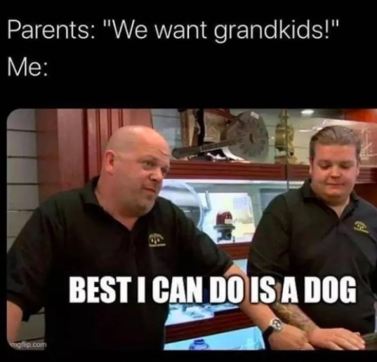 U ONIM STE GODINAMA KADA VAS SVI PITAJU ‘KAD ĆE BEBA?’ Evo nekoliko memova koje im možete poslati kad vam pojedu živce