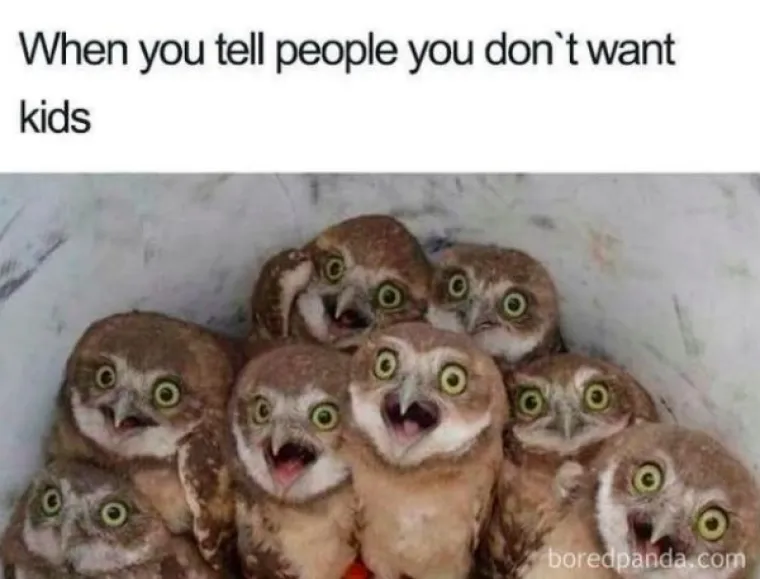 U ONIM STE GODINAMA KADA VAS SVI PITAJU &lsquo;KAD ĆE BEBA?&rsquo; Evo nekoliko memova koje im možete poslati kad vam pojedu živce