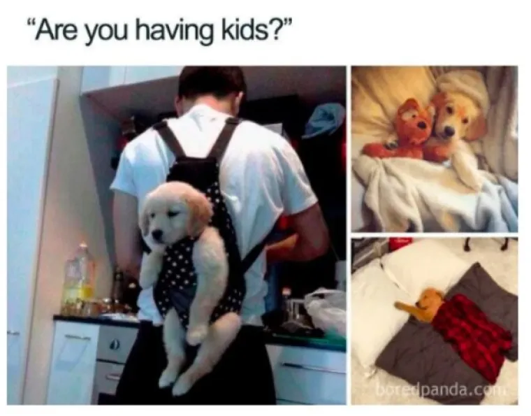 U ONIM STE GODINAMA KADA VAS SVI PITAJU &lsquo;KAD ĆE BEBA?&rsquo; Evo nekoliko memova koje im možete poslati kad vam pojedu živce